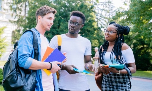 Réseau international de la jeunesse de la Francophonie