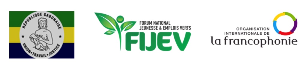 Célébration de la fête nationale de la jeunesse au Gabon, ... Image 1