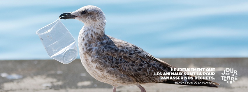 Prenons soin de la planète Image 1