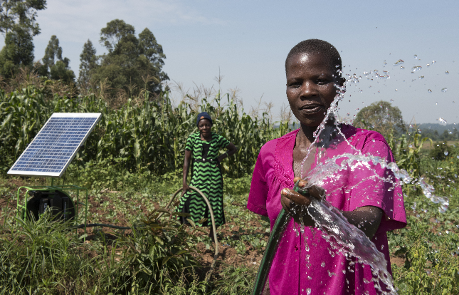 Innovations climatiques et entrepreneuriat agricole vert en ... Image 1