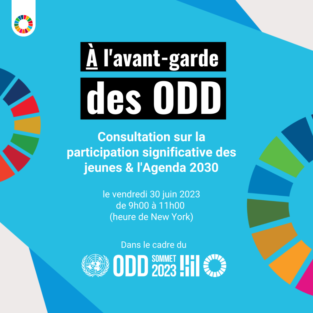 A l'avant-garde des ODD: Consultation sur la participation ... Image 1