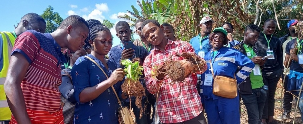 Journée mondiale des compétences des jeunes Image 1