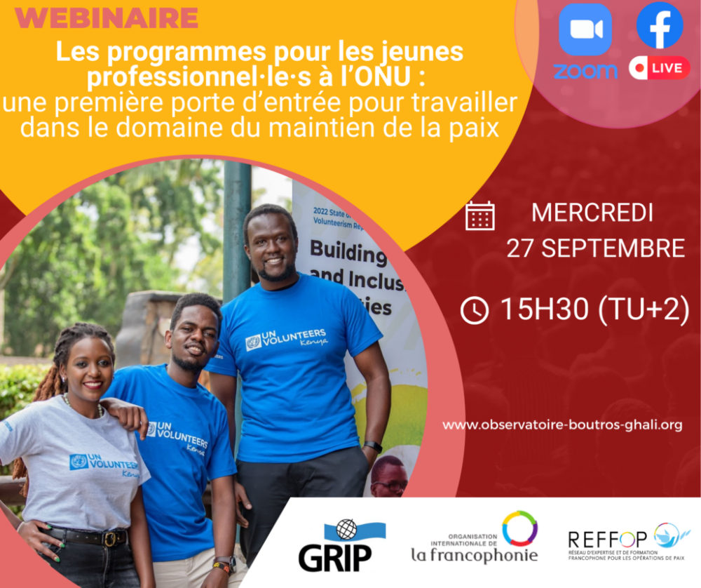 Webinaire : Les programmes pour les jeunes ... Image 1