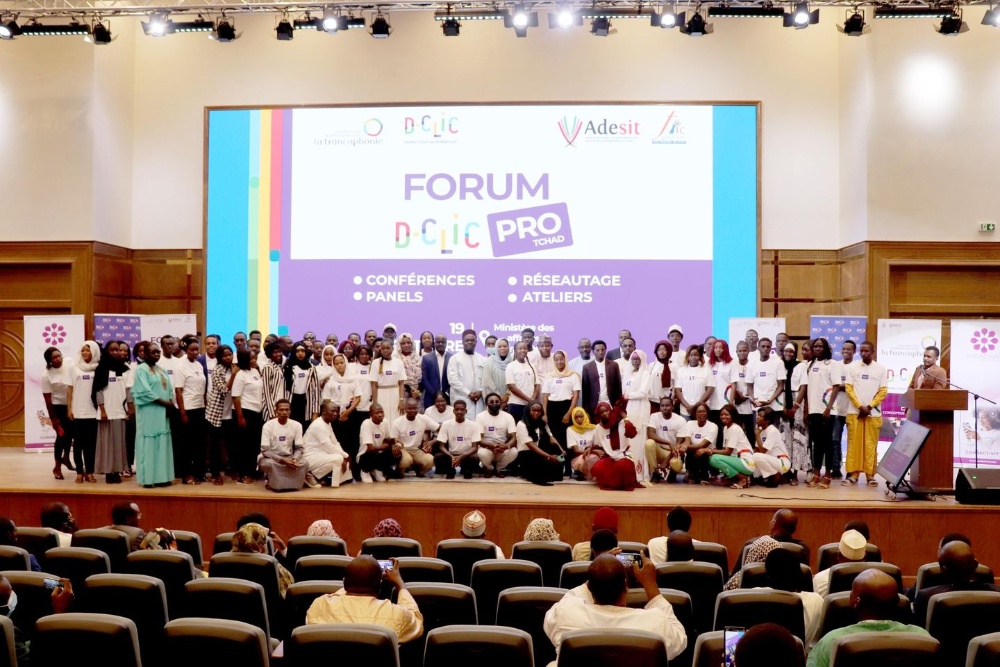 Tchad : 7e Forum D-CLIC Pro Image 1