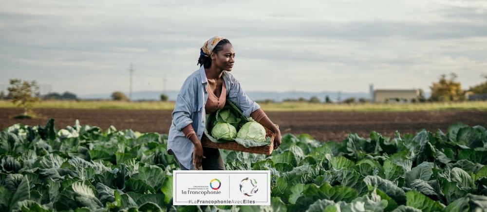 6e édition du Fonds « La Francophonie avec Elles » Image 1