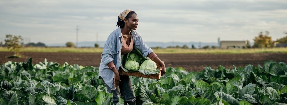 7e édition du Fonds « La Francophonie avec Elles » Image 1