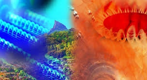 2 appels à projets pour la consolidation de l'Initiative « ...