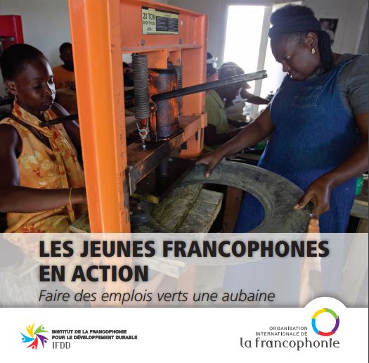 Le numéro 106 de la revue Liaison Énergie-Francophonie ... Image 1