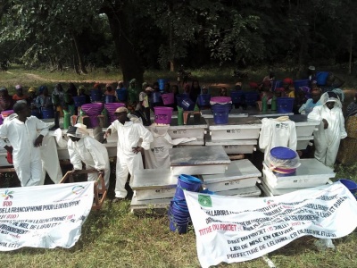 Guinée/Mobilisation des cueilleurs de miel de Parawol et ... Image 1