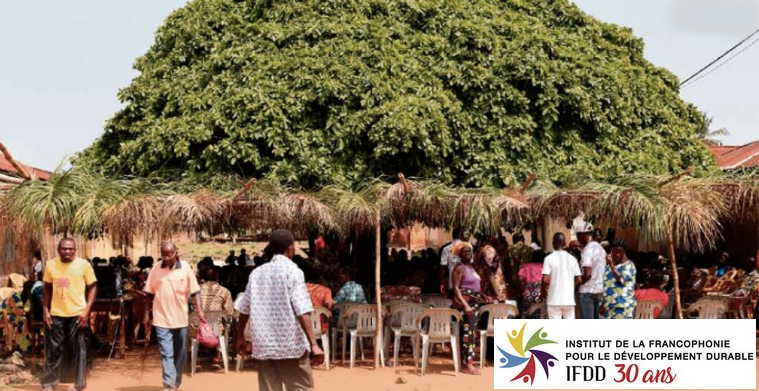 Les 30 ans de l'Institut de la Francophonie pour le ... Image 1