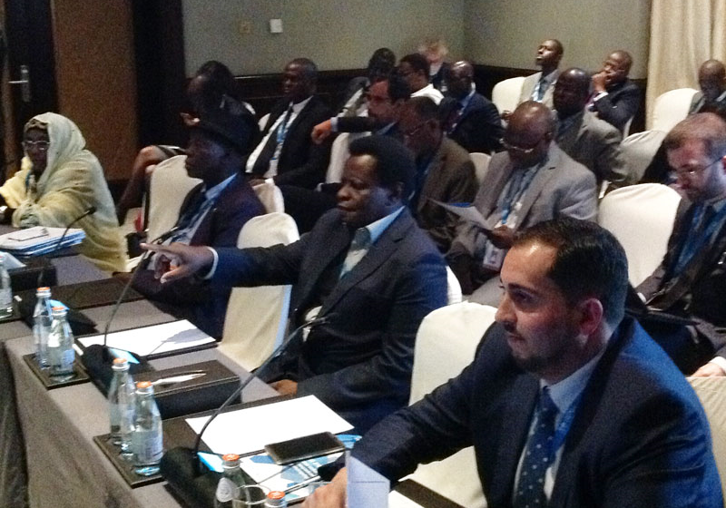 L'OIF à la 9e Assemblée de l'Agence internationale pour les ... Image 1